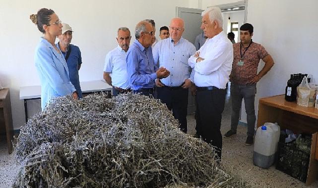 Muğla’da Büyükşehir Belediyesi’nin Tarımsal Güçbirliği Projesi Üreticiye Kazandırıyor