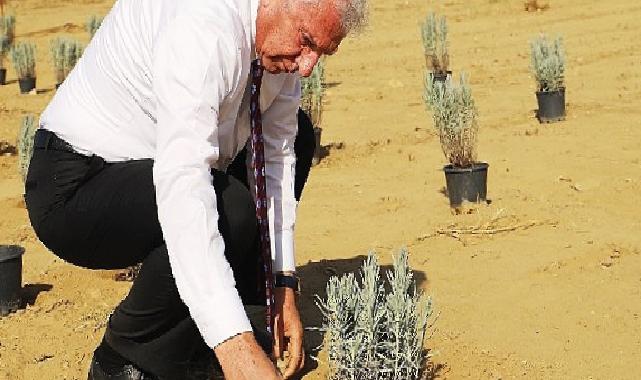 Ödemiş Belediyesi’nden “Tıbbi-Aromatik Bitki Bahçesi” hamlesi