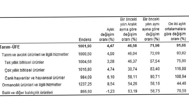 Tarım ürünleri üretici fiyat endeksi (Tarım-ÜFE) yıllık yüzde 71,96, aylık yüzde 4,47 arttı