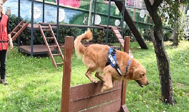 Bak-kadıköy yeni üyesi coco