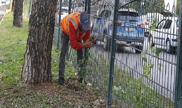 Büyükşehir’den Evliya Çelebi Caddesi’nde refüj çalışması