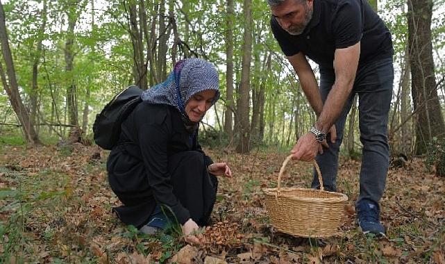 Kocaeli’nde Ormanya’da mantar avı düzenlendi