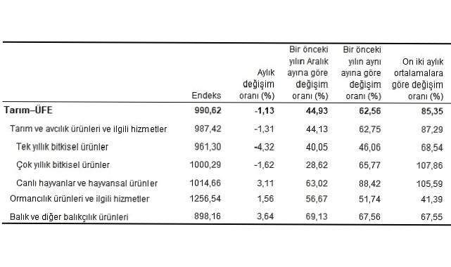 Tarım ürünleri üretici fiyat endeksi (Tarım-ÜFE) yıllık yüzde 62,56 arttı, aylık yüzde 1,13 azaldı