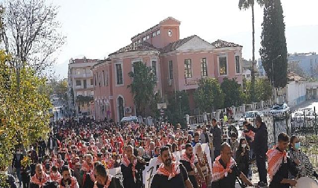 Zeytinin başkenti Milas;ta hasat coşkusu yaşanacak