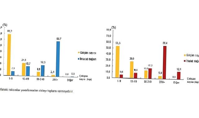 Hizmet ihracatının yüzde 58,7’sini, hizmet ithalatının yüzde 55,4’ünü büyük ölçekli girişimler yaptı