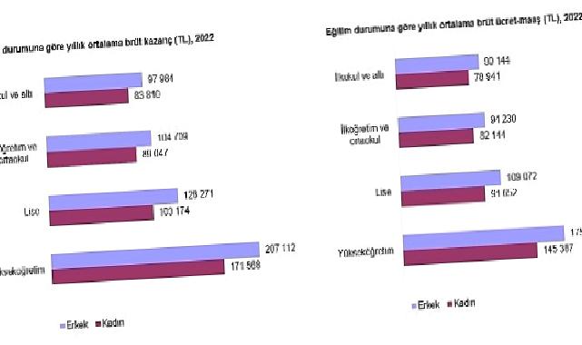 Kazanç Yapısı İstatistikleri, 2022