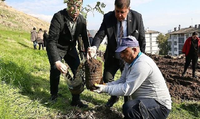 Karşıyaka’da ağaç varlığı hızla artmaya devam ediyor