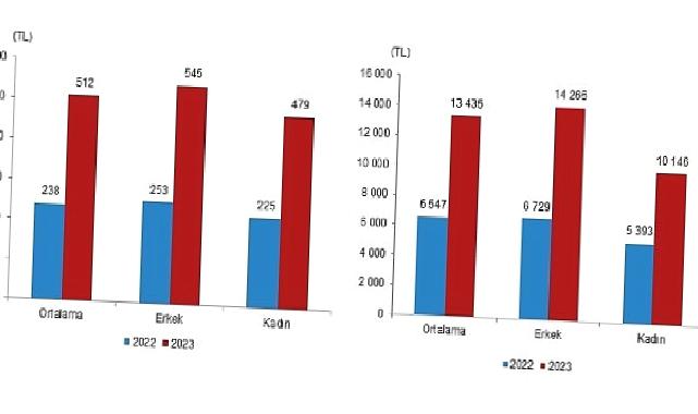 TÜİK: Mevsimlik tarım işçilerinin ortalama günlük ücretleri 2023 yılında %114,6 arttı