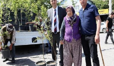 Bir yılda 10 bin meyve fidanı dağıtılacak