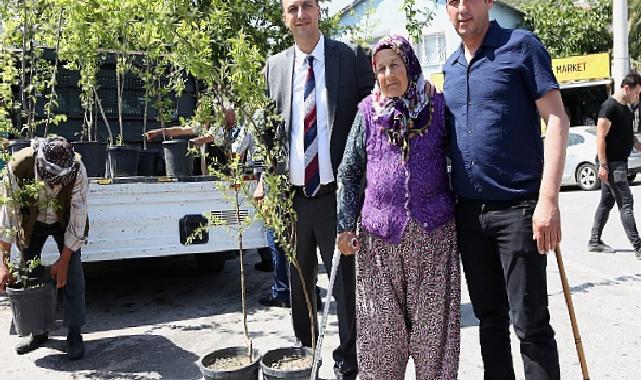 Bir yılda 10 bin meyve fidanı dağıtılacak