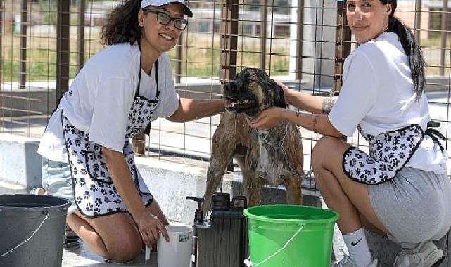 Bunaltan sıcaklarda can dostlar unutulmadı